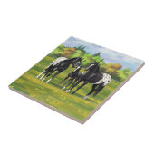 Schwarze Appaloosa Pferde im Sommer Weide Fliese (Seite)