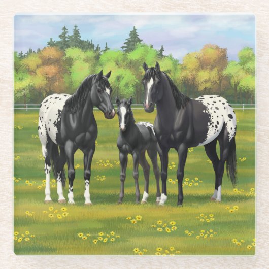 Schwarze Appaloosa Pferde im Sommer Weide Glasuntersetzer (Vorderseite)