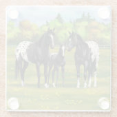 Schwarze Appaloosa Pferde im Sommer Weide Glasuntersetzer (Rückseite)