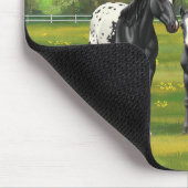 Schwarze Appaloosa Pferde im Sommer Weide Mousepad (Ecke)
