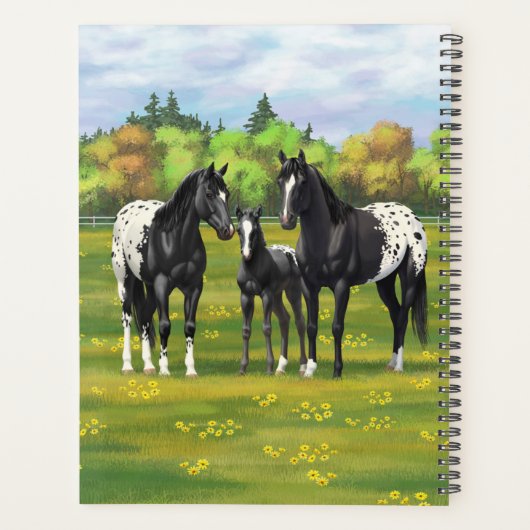 Schwarze Appaloosa Pferde im Sommer Weide Planer (Rückseite)
