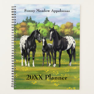 Schwarze Appaloosa Pferde im Sommer Weide Planer