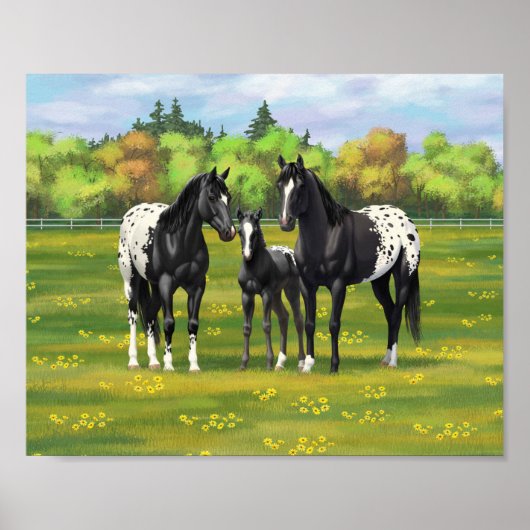 Schwarze Appaloosa Pferde im Sommer Weide Poster (Vorne)