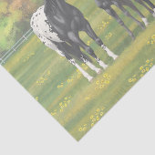 Schwarze Appaloosa Pferde im Sommer Weide Seidenpapier (Ausschnitt)