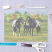 Schwarze Appaloosa Pferde im Sommer Weide Seidenpapier (Handwerk)