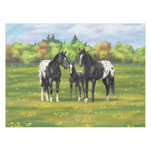 Schwarze Appaloosa Pferde im Sommer Weide Tischdecke