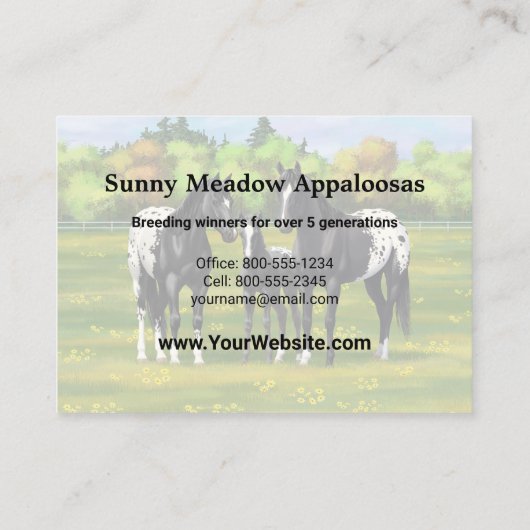 Schwarze Appaloosa Pferde im Sommer Weide Visitenkarte (Rückseite)