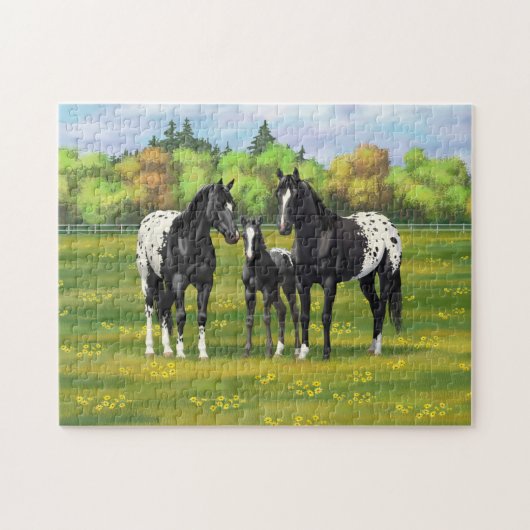 Schwarze Appaloosa Pferde im Sommerweide Puzzle (Horizontal)