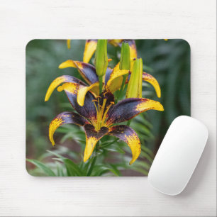Schwarze asiatische Lilie, dunkle Blumenfotografie Mousepad