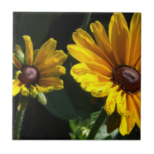Schwarze Augen Susans Fliese