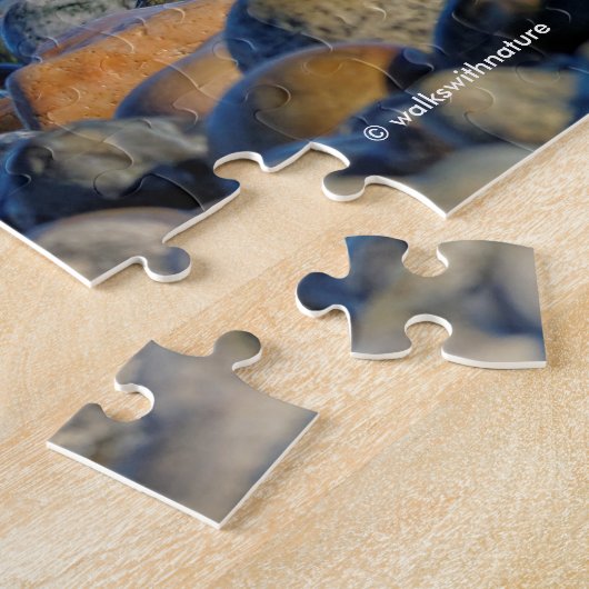 Schwarze Austernfischer am Strand Puzzle (Seite)