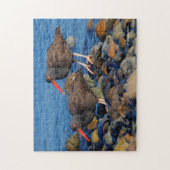 Schwarze Austernfischer am Strand Puzzle (Vertikal)