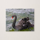 Schwarze australische Swans Puzzle (Horizontal)