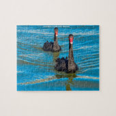 Schwarze australische Swans Puzzle (Horizontal)