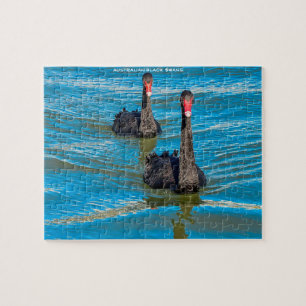 Schwarze australische Swans Puzzle
