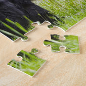 Schwarze Bären aus Amerika. Puzzle (Seite)