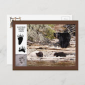 Schwarze Bären, Geschenke Postkarte (Vorne/Hinten)