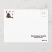Schwarze Bären, Geschenke Postkarte (Rückseite)