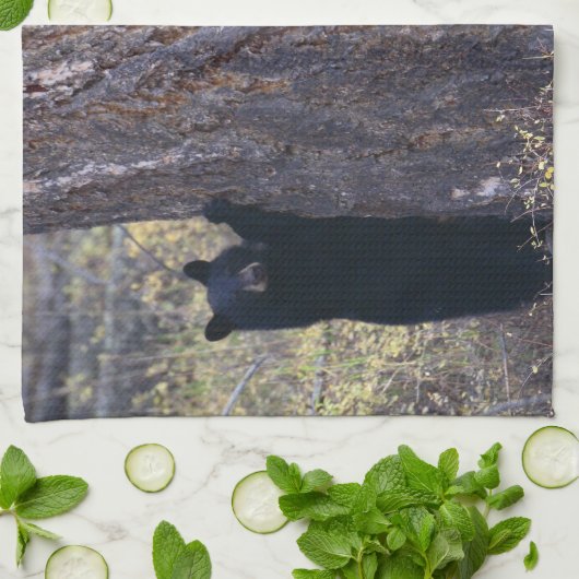 schwarze Bärenjunge Geschirrtuch (Gefaltet)