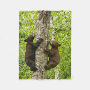 Schwarze Bärenjungen klettern auf einen Baum Fleecedecke