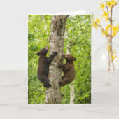 Schwarze Bärenjungen klettern auf einen Baum Karte (Gelbe Blume)