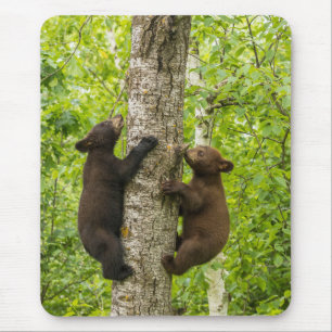 Schwarze Bärenjungen klettern auf einen Baum Mousepad