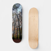 Schwarze Bäume, im Wald Skateboard (Vorderseite)