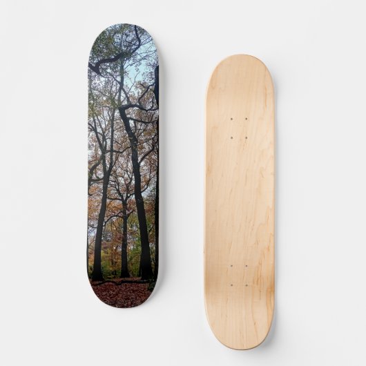 Schwarze Bäume, im Wald Skateboard (Vorderseite)