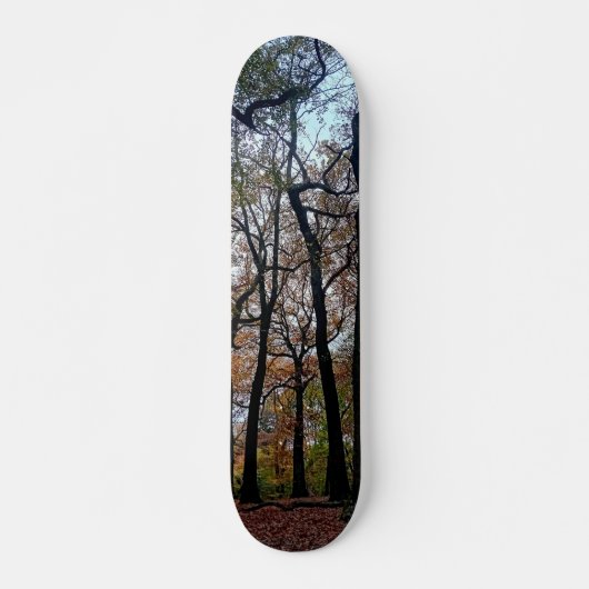 Schwarze Bäume, im Wald Skateboard (Vorne)