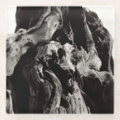 Schwarze Baumrinde Glasuntersetzer (Vorderseite)