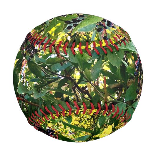 Schwarze Beeren Baseball (Vorderseite)