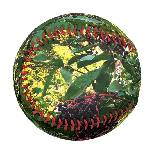 Schwarze Beeren Baseball (Vorderseite Links)
