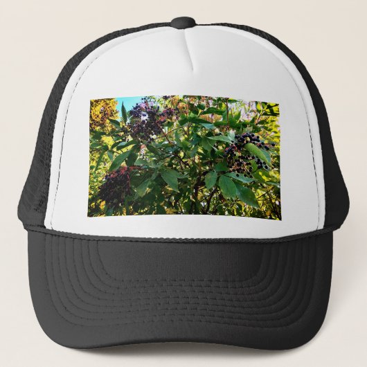 Schwarze Beeren Truckerkappe (Vorderseite)
