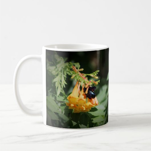 Schwarze Biene auf Orange Trumpet Blume Kaffeetasse (Links)
