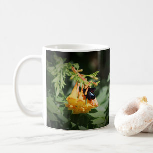 Schwarze Biene auf Orange Trumpet Vine Blume Kaffeetasse