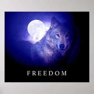Schwarze Blaue Nacht Freiheit Wolfskopf Vollmond P Poster