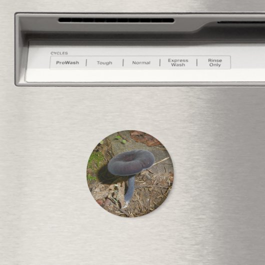 Schwarze Blume Mushroom Magnet (In Situ (Geschirrspüler))
