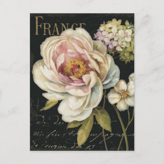 Schwarze Blume Postkarte (Vorderseite)