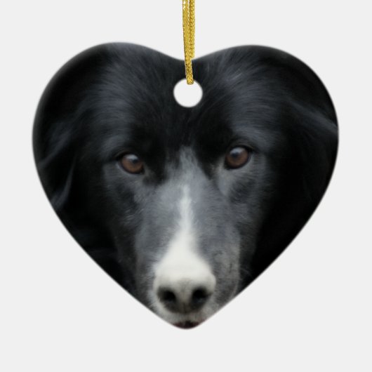 Schwarze Border-Collie-Gesichts-Hundeverzierung Keramikornament (Vorne)