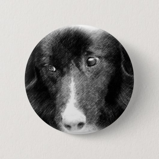 Schwarze Border-Collie-Tierkunst-Knopf Button (Vorderseite)