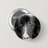 Schwarze Border-Collie-Tierkunst-Knopf Button (Vorne & Hinten)