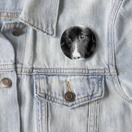Schwarze Border-Collie-Tierkunst-Knopf Button (Beispiel)