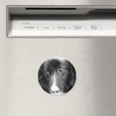 Schwarze Border-Collie-Tierkunst-Magnet Magnet (In Situ (Geschirrspüler))