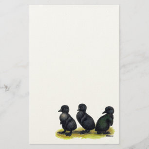 Schwarze Cayuga-Entenküken Briefpapier