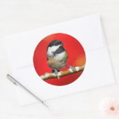 Schwarze Chickade auf Herbstrot Hintergrund Runder Aufkleber (Umschlag)