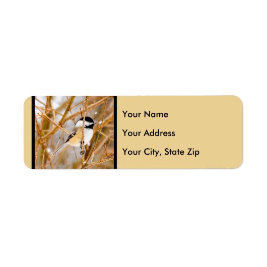 Schwarze Chickade - Original-Foto (Vorne)