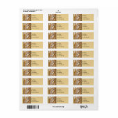 Schwarze Chickade - Original-Foto (Vorne)