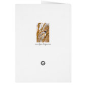 Schwarze Chickade - Original-Foto (Hinten)