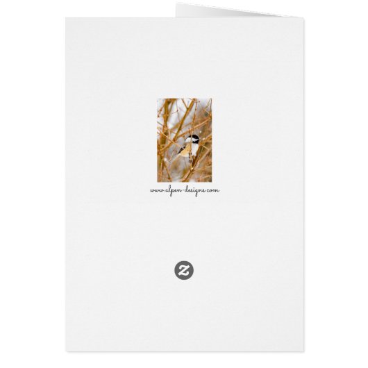 Schwarze Chickade - Original-Foto (Hinten)