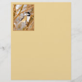 Schwarze Chickade - Original-Foto (Vorderseite)